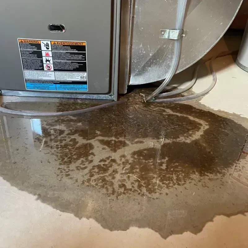 Appliance Leak Cleanup in White Horse, NJ